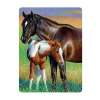 3d paard met veulen