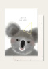 ahum koala