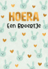 artige hoera een broertje