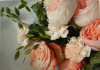 artige postkaart 35
