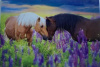 budget kaart 2 paarden lavendel