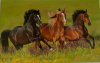 budget kaart 3 dravende paarden