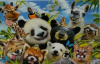 budget kaart grappige dieren oa panda