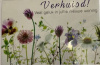 budget kaart verhuisd paarse bloemen