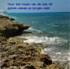 ellen ruisen zee