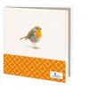 kaartenmapje_vogels