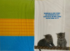 kinderkaart katten binnenkant