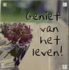magneet geniet van het leven