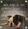 magneet gisteren begon te wennen