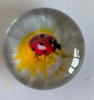 magneet glas lieveheersbeestje 2
