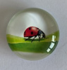 magneet glas lieveheersbeestje 3