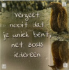 magneet uniek