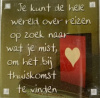 magneet wereld over reizen