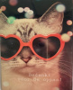 oppas kat