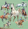 sport en hobby 23