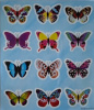 stickervel vlinders