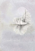 whispering ws034