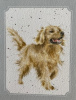 wrendale golden retreiver