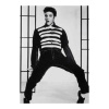 zwar wit foto elvis