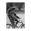 zwart wit foto honden mee op fiets