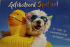 zwemdiploma spetter 327003903
