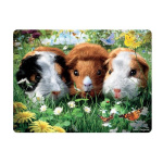 3d_cavia