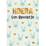 artige_hoera_een_broertje
