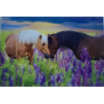 budget_kaart_2_paarden_lavendel
