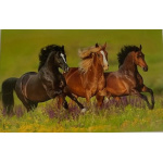 budget_kaart_3_dravende_paarden