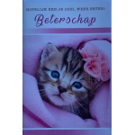 budget_kaart_beterschap_kat