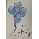budget_kaart_its_a_boy_ballonnen