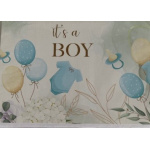budget_kaart_its_a_boy_ballonnen_en_rompertje