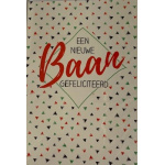 budget_kaart_nieuwe_baan