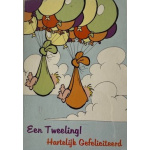 budget_kaart_tweeling_aan_ballonnen