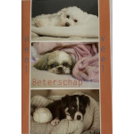 budget_kaart_veel_beterschap_honden