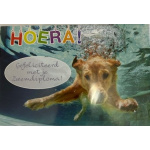 budget_kaart_zwemdiploma_hond_onder_water