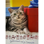 communnie_kat