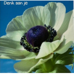 ellen_denk_aan_je