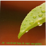ellen_je_verdriet_ben_ik_niet_vergeten