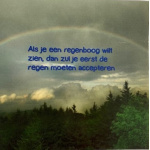 ellen_regenboog