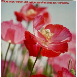 ellen_wil_je_laten_weten