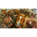 geldenvelop_gekke_paarden