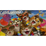 geldenvelop_grappige_katten