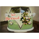 hartung_just_married_bully