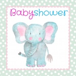 kaartje babyshower