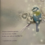 kerskaart_koolmees_warme_momenten