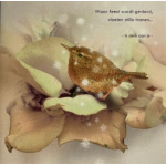 kerstkaart_bruine_vogel_op_blad_stille_tranen