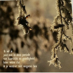 kerstkaart_periode_van_kaarslicht_en_gezelligheid