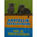 kinderkaart_katten