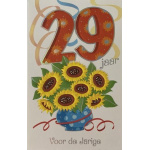 leeftijd_29_jaar